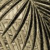 Adventure Awaits