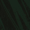 Darkest Green