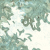 Pale Panoramic