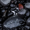Red Rock