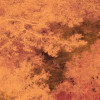 Autumna