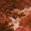 Autumna rosso