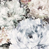 Posy