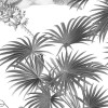 Croissances Monochrome