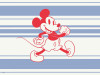 Mickey Wonderful Live
