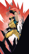 X-Men Wolverine Slit