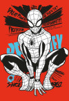 Spider-Man Protector of NYC