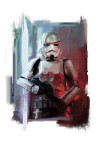 Star Wars Stormtrooper Painting