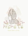 Disney Lady and the Tramp True and Loyal