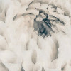 Blossom Clouds