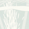 Reed