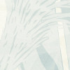 Reed