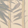 Bamboo Paradise