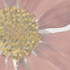 Endless Spring