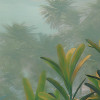 Jungle Morning
