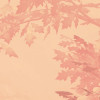 Heartwood