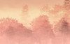Heartwood