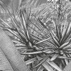 Amazonia Black and White