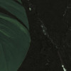 Monstera on Marble