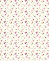 Magnolia Rapport