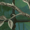 Birdsong Breeze