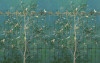 Birdsong Breeze