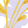 Bloomique