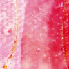 Cells Wrapping
