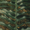 Hall of Mosses