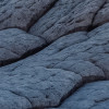 Elephant Skin
