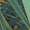 Foggy Fern