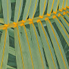 Neon Fern