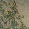 Mystical Firs