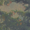 Mystical Firs