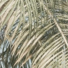 Palm Oasis