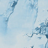 Blue China