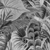 Lac Tropical Black & White