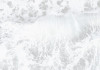 Ocean Surface