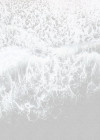 Ocean Surface
