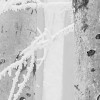 Winter Wood