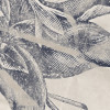 Botanical Papers