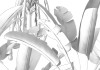 Musa