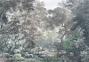Fairytale Forest