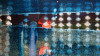 Zigzag Spangling