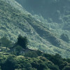 The Summit