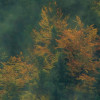 Tales of the Carpathians