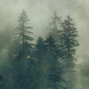 Tales of the Carpathians