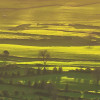 Crater Land