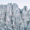 Alpine Treasure