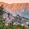Alps